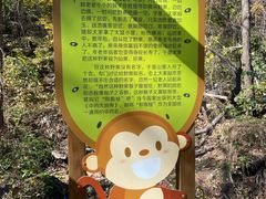-大岭沟猕猴桃谷风景区