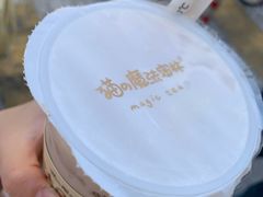 -猫的魔法密林(衣裳街店)