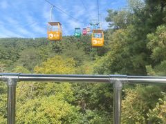 -刘公岛风景名胜区索道站-售票处