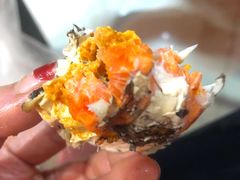-黄记大闸蟹专卖店·活蟹·醉蟹