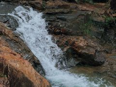 -广州白江湖森林公园