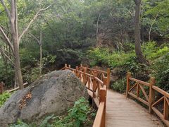 -大岭沟猕猴桃谷风景区