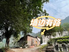 -南山植物园