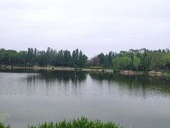 -北坞公园
