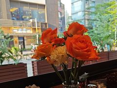 -和牛食堂•BISTRO(广州首店)
