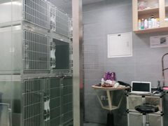 -宠福鑫康馨动物医院·骨科·眼科