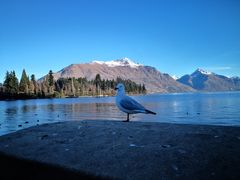 -Patagonia Chocolates(皇后镇店)