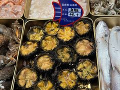 -日照世帆赛基地