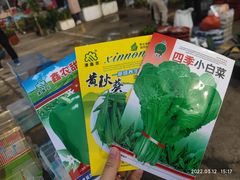 -中环花鸟鱼虫市场