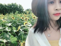 -广东花都香草世界旅游度假区