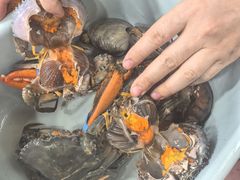 -船奇蒸汽海鲜·闽菜(八市海鲜总店)