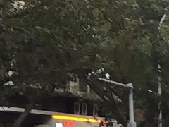 -满田家大排档(朝阳店)