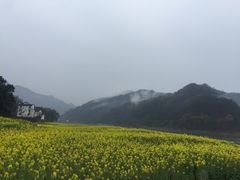 -新安江山水画廊风景区