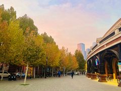 -天津五大道文化旅游区