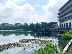 -水月周庄铂尔曼酒店 · 漾全日餐厅