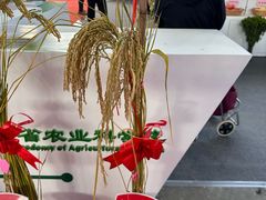 -沈阳国际会展中心管理有限公司