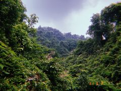 -南丹山森林王国