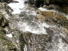 -宁波五龙潭景区