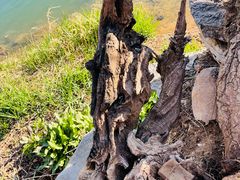 -青州市云门山风景区