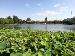 -西海子公园
