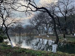 -茅家埠