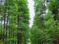 -广州市白云山风景名胜区