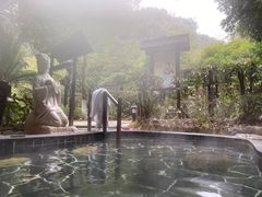 -明月山天沐温泉度假村