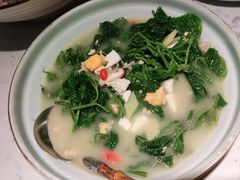 上汤桑叶苗-大榕树下顺德菜(融创茂店)