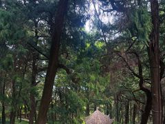-七曲山风景区