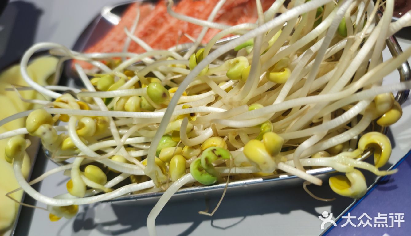 刚发现一家宝藏美食店