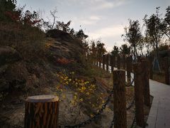 -白水寺森林公园