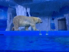 -多彩贵州城极地海洋世界