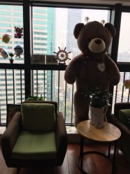 点击看大图 -星野形象