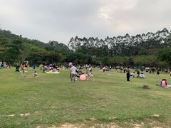 -火炉山森林公园