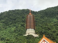 -深圳仙湖植物园