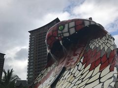 -亚马逊丛林水乐园