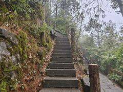 -娄山关景区