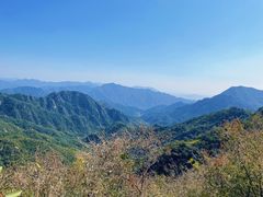 -大岭沟猕猴桃谷风景区