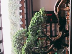 -文儒九号·闽菜馆(三坊七巷店)