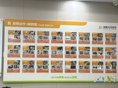 -瑞鹏宠物医院·骨外科·心肾科·肿瘤科(九亭店)