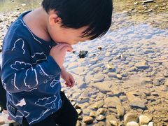 -楠溪江风景名胜区