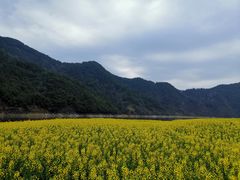 -新安江山水画廊风景区