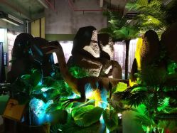 -恐龙探索乐园(磁器口店)