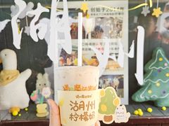 -猫的魔法密林(衣裳街店)
