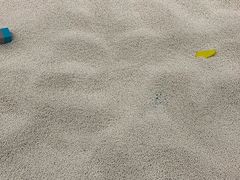 -戊辰亲子游泳俱乐部