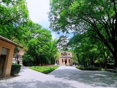 -延安杨家岭革命旧址