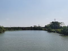 -军山湖云水间生态农业旅游景区