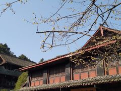 -峨眉山报国寺