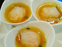 -点都靓餐饮连锁(德信华城店)