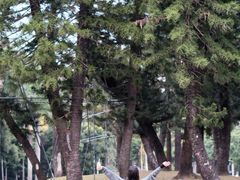 -人民公园(罗湖区)